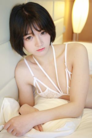 井胧抄袭